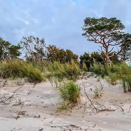 Appartamento Na Wydmie - 111 *