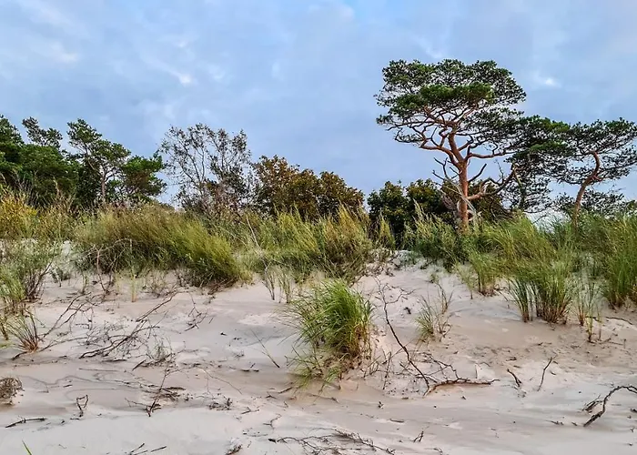 Appartement Na Wydmie - 111 *